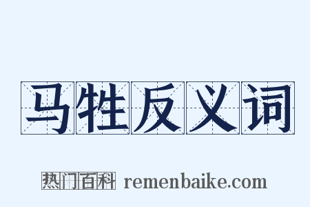 马牲反义词是什么意思的图片